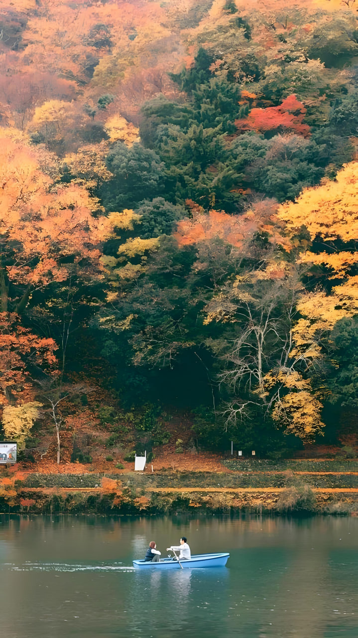陈抟